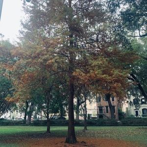 Meet your Posher, Lynn